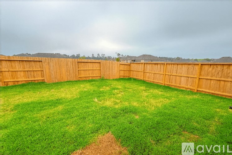 A backyard with a wooden fence and green grass.