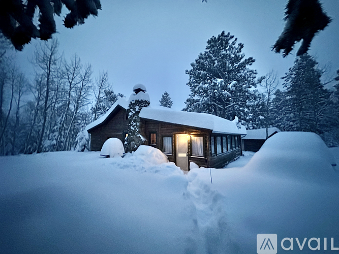 A house covered in snow with trees in the background.