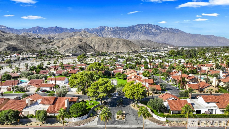 A residential area with houses and palm trees in front of a mountain range.
