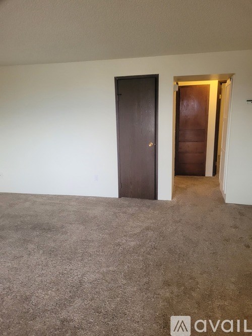 A room with a carpeted floor and a brown door.