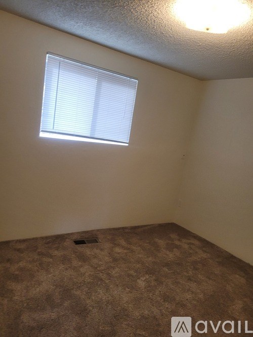 A room with a window and a carpeted floor.
