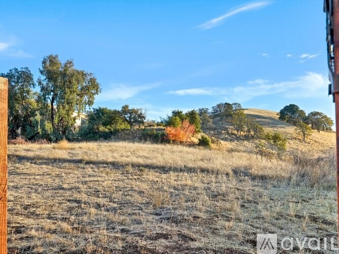 A field with dry grass and trees under a clear blue sky.