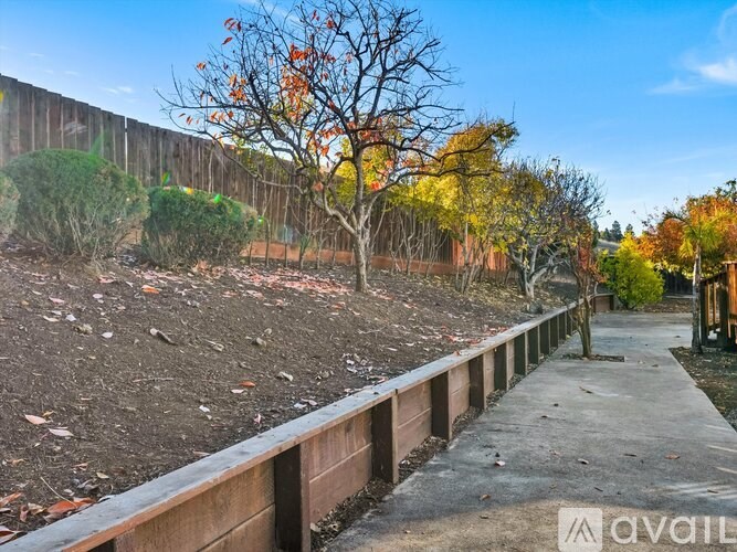 A tree with orange leaves stands next to a wooden fence.