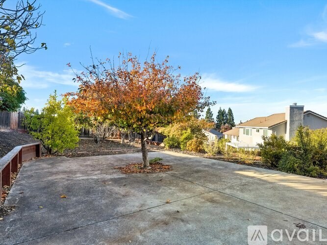 A tree with orange leaves is in the middle of a concrete driveway.