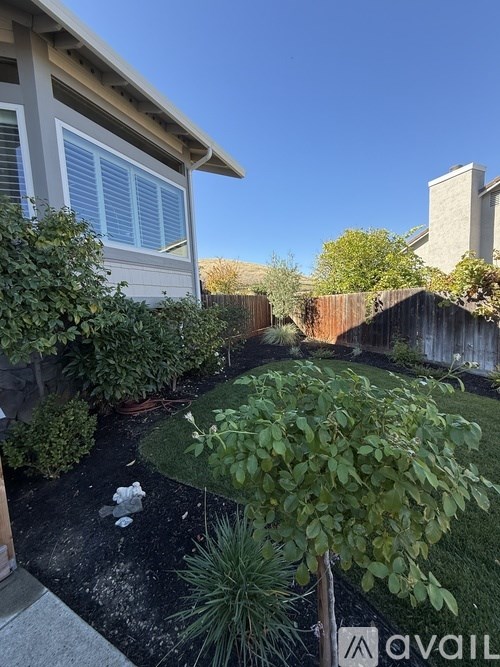 A backyard with a fence, bushes, and a tree.