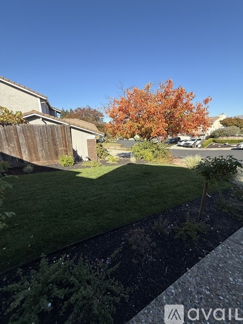 A backyard with a lawn and a tree with orange leaves.