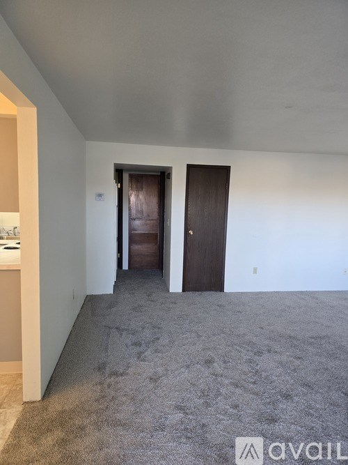 A room with a carpeted floor and two doors.