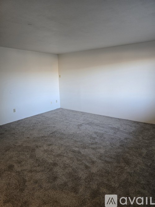 A room with a carpeted floor and white walls.