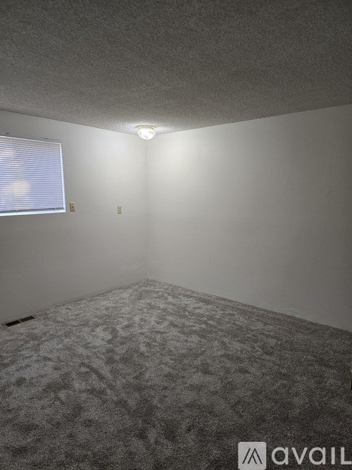 A carpeted room with a window and a light on.