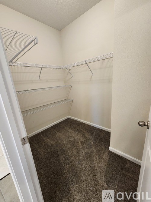 A white closet with a carpeted floor and white walls.