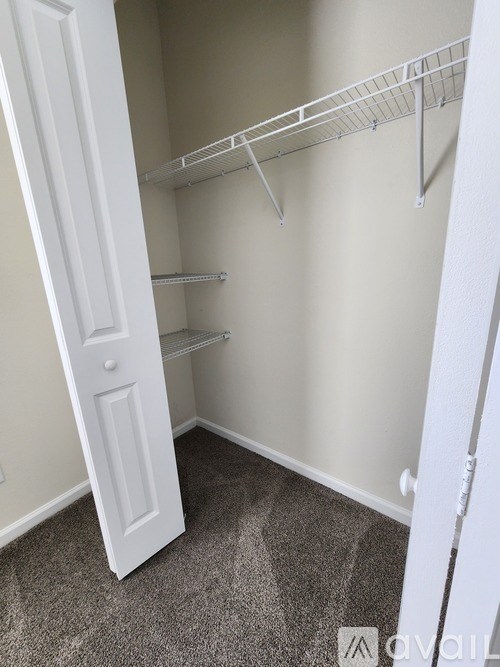 A white closet with shelves and a door open.