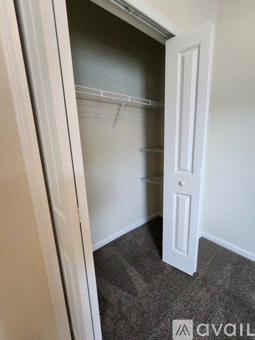 A white door is open to a small closet with shelves.