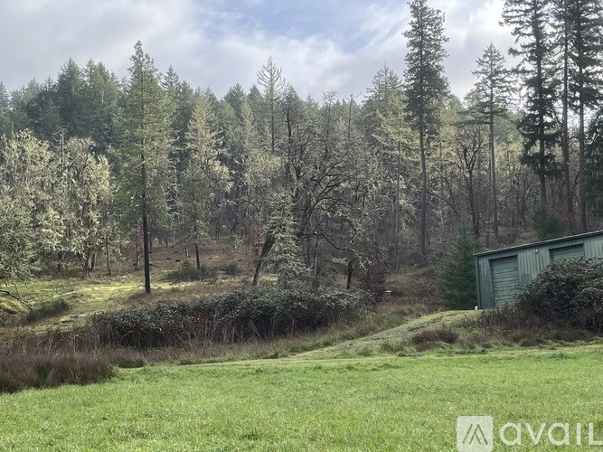 A grassy field with trees in the background and a shed in the foreground.