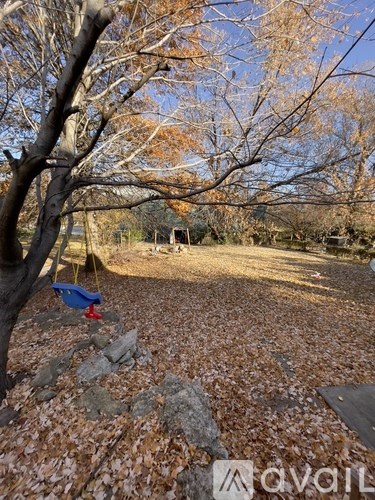 A backyard with a swing set and a tree with yellow leaves.
