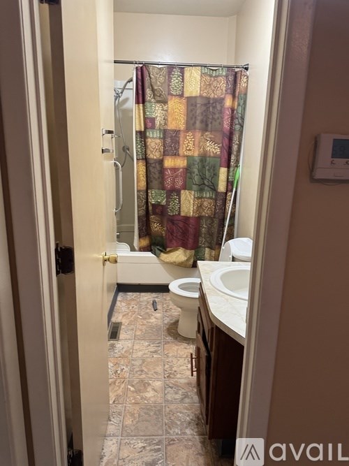 A bathroom with a shower curtain and a toilet.