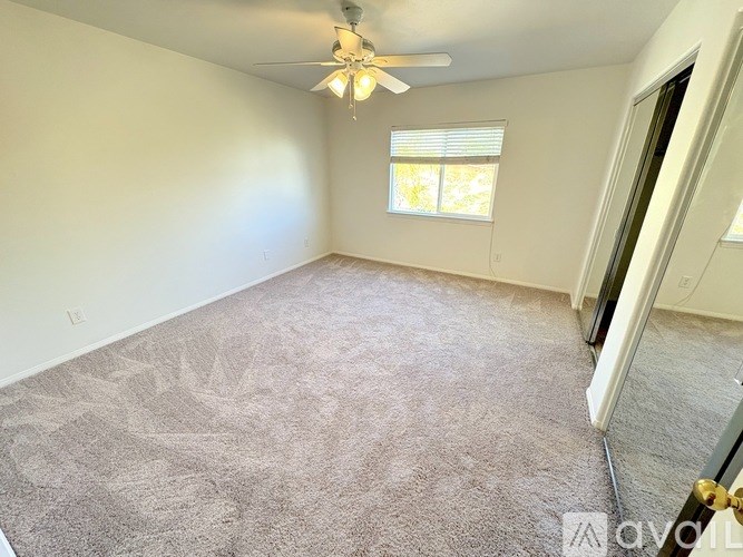 A carpeted room with a ceiling fan and a window.