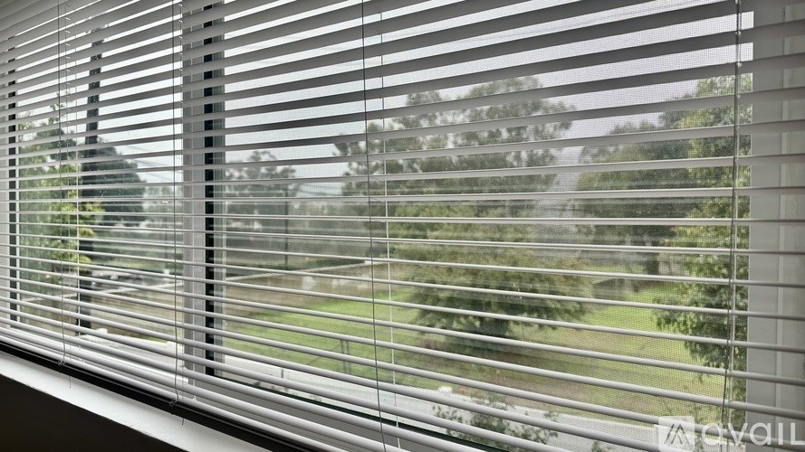 A close up of a window with white blinds partially closed.