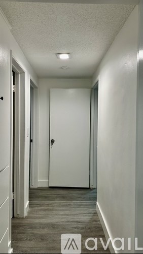 A hallway with a white door and a light on the ceiling.
