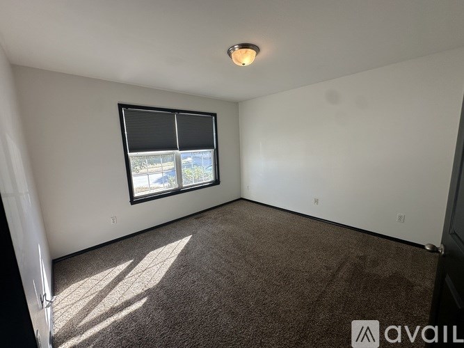 A room with a carpeted floor, a window with blinds, and a ceiling light.