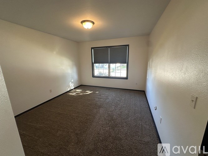 A carpeted room with a window and a ceiling light.