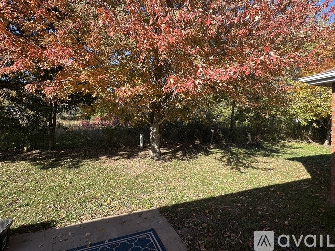 A tree with red leaves is in the foreground of a sunny yard.