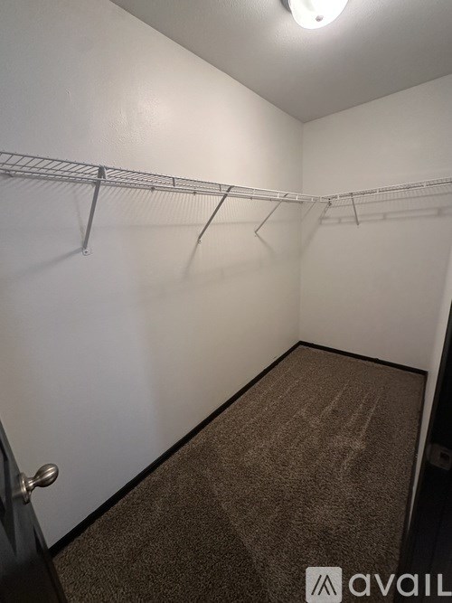 Empty walk-in closet with a carpeted floor and white walls.