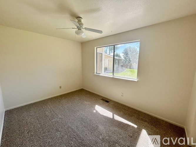 A room with a carpeted floor, a ceiling fan, and a window showing an outdoor view.