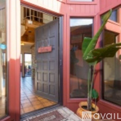 A plant in a pot sits in front of a glass door.