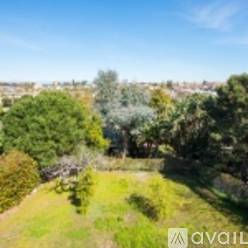 A grassy field with trees and a clear blue sky.