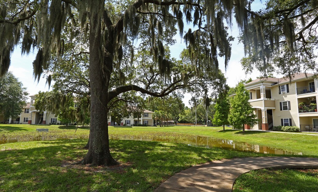 A tree with Spanish moss hanging from its branches is in the foreground of a grassy area with apartment buildings in the background.