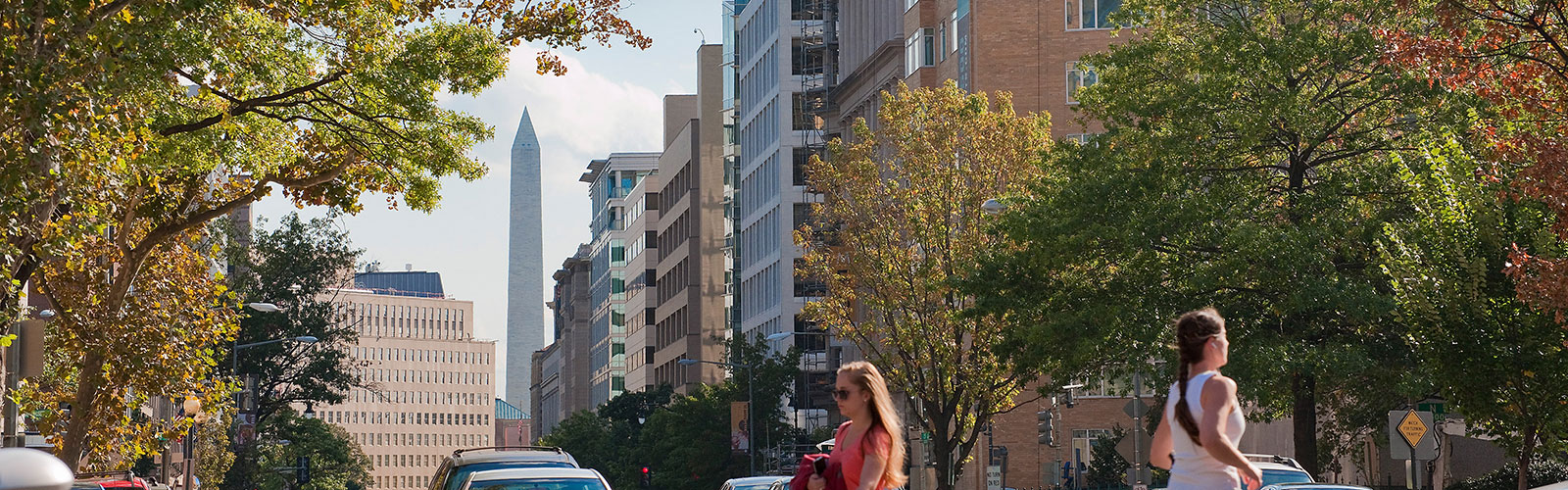 Palisades Sister Properties