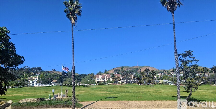 A grassy field with two palm trees and a mountain in the background.