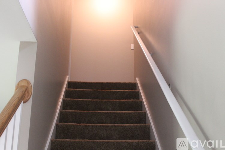 A staircase with a carpeted runner and wooden handrail.
