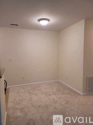 A room with a carpeted floor and a ceiling light.