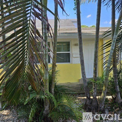 A house with a white door is surrounded by palm trees.