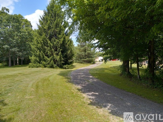 A gravel path winds through a grassy area with trees on either side.