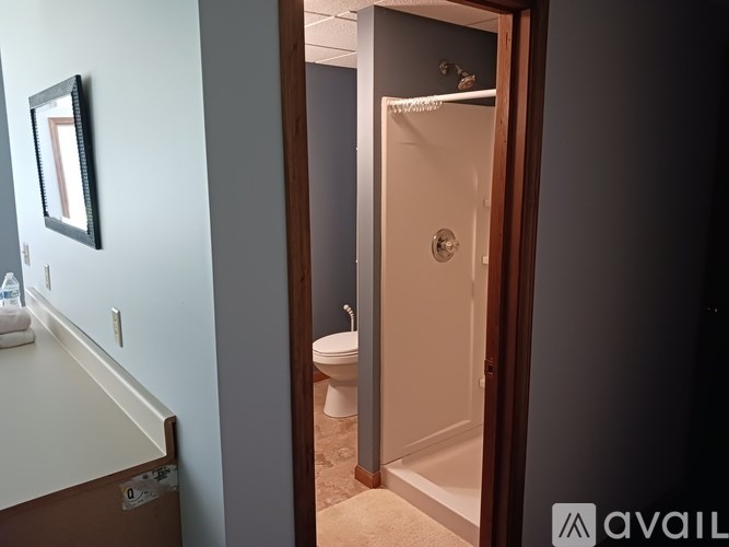 A bathroom with a toilet and a shower stall.