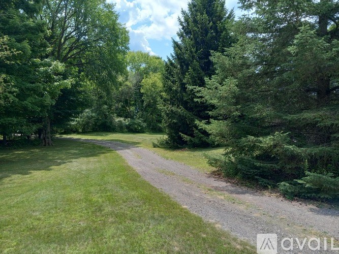 A gravel path winds through a lush green forest.