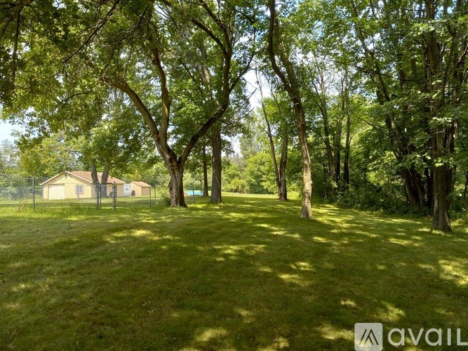 A grassy field with trees and a fence in the background.