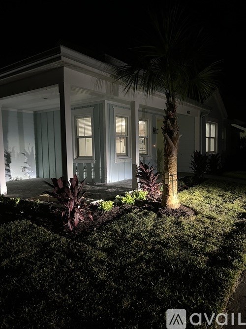 A house with a palm tree in front of it is lit up at night.