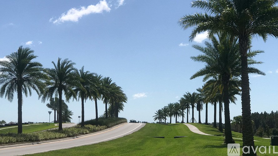 A row of palm trees line a road.
