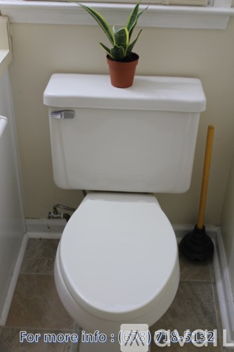 A white toilet with a plant on top and a plunger to the side.