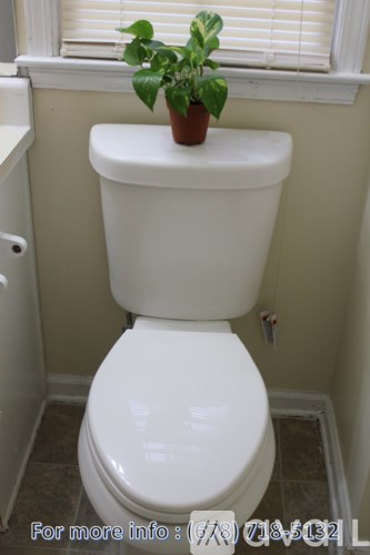 A white toilet with a green plant on top.