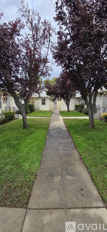 750 E Cornell Ave 2 Beds Apartment for Rent - Photo Gallery 19