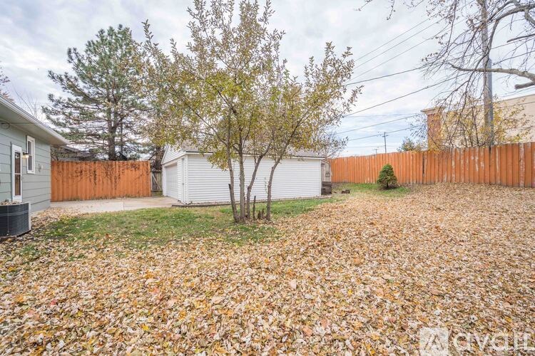 A backyard with a fence and a tree with yellow leaves.