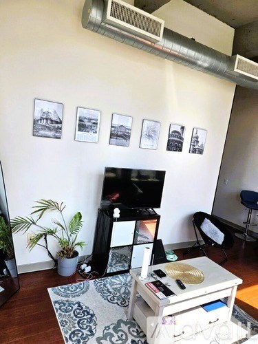 A living room with a flat screen TV, a plant, and a picture on the wall.