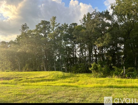 35 White Rabbit Run 4 Beds Single Family Home for Rent - Photo Gallery 15