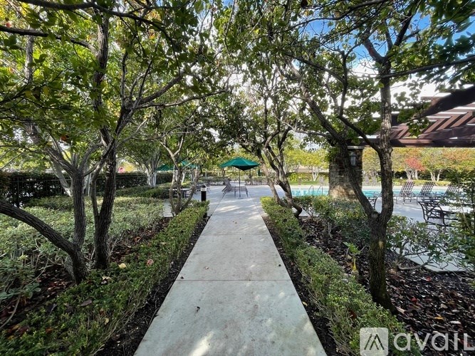 A walkway is lined with trees and shrubs on one side and a pool area on the other.