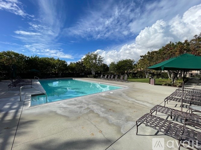 A pool surrounded by trees and a sunny sky.