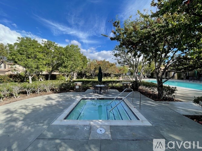 A pool surrounded by trees and bushes with a clear blue sky above.